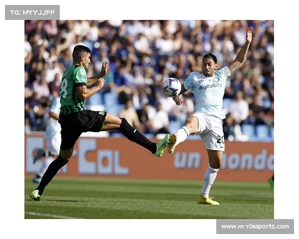 萨索洛主场草皮优质获赞,技术型球队表现更佳